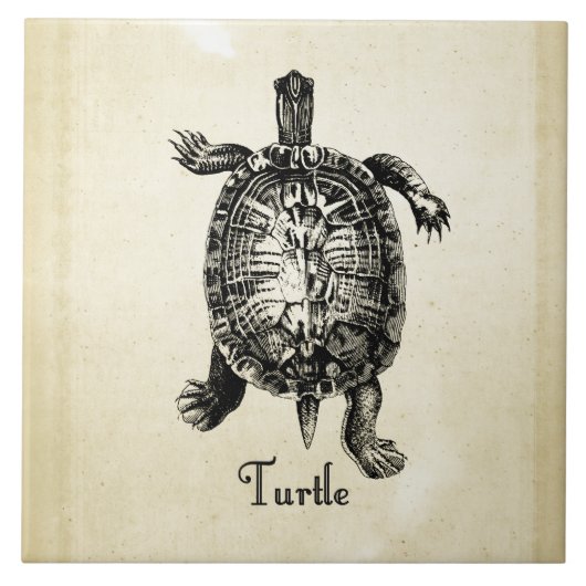  TURTLE TEGELTJE (Voorkant)