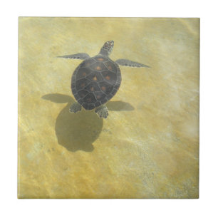 Turtle Tile Tegeltje