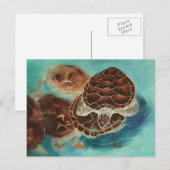 Turtle Time Briefkaart (Voorkant / Achterkant)