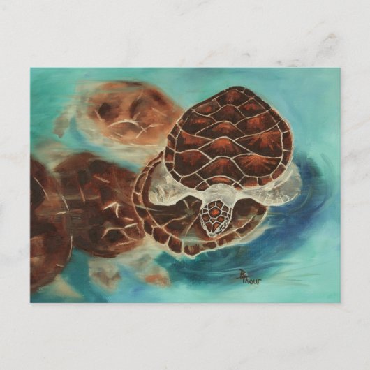 Turtle Time Briefkaart (Voorkant)