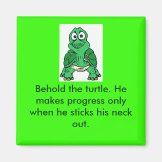 Turtle Truth Magneet