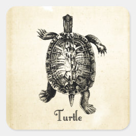 TURTLE VIERKANTE STICKER
