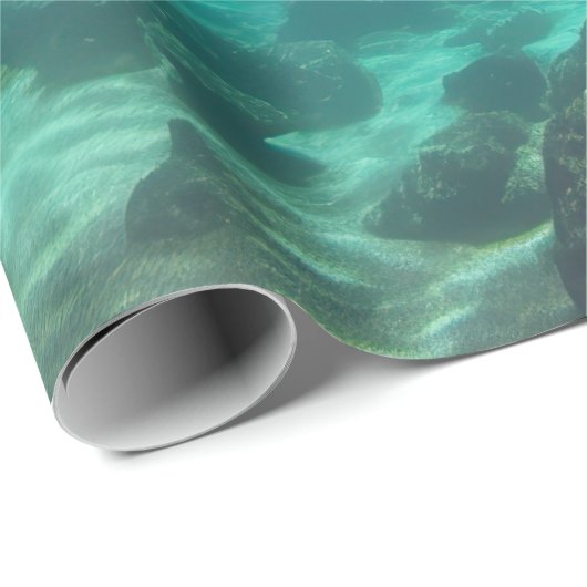 Turtle Wrapping Paper Cadeaupapier (Rol Hoek)