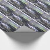 Turtle Wrapping Paper Cadeaupapier (Hoek)