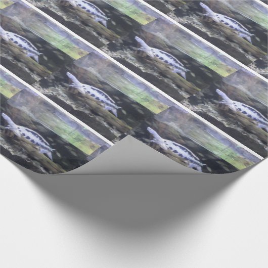 Turtle Wrapping Paper Cadeaupapier (Hoek)