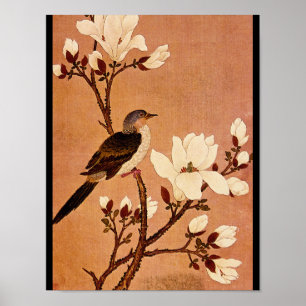 Turtledove op het Bloemen Branch_The Orient Poster
