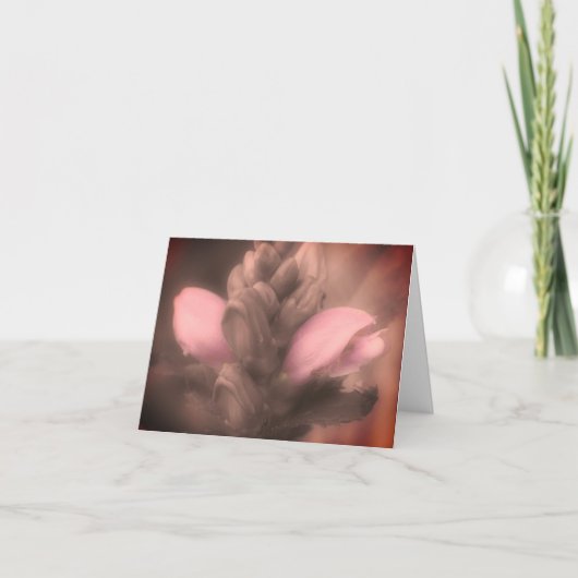 Turtlehead Flower Black and White Note Kaart (Voorkant)