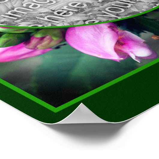 Turtlehead Flower Lijst Creëer Uw eigen foto Poster (Hoek)