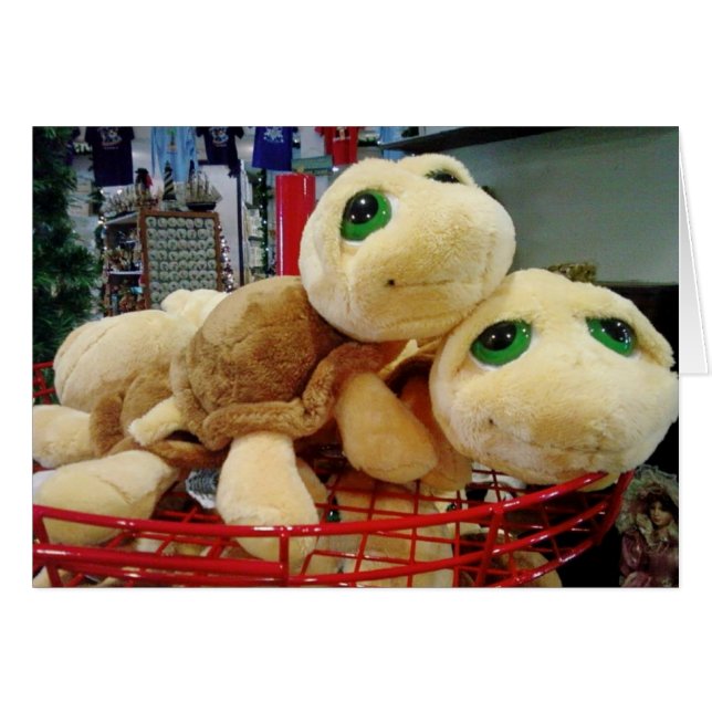 TURTLEN HEBBEN EEN UITZONDERLIJKE NACHT VISIE (MIS (Voorkant Horizontaal)