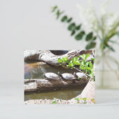 TURTLEN, TURTLES, TURTLEN!! BRIEFKAART (Staand voorkant)