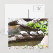 TURTLEN, TURTLES, TURTLEN!! BRIEFKAART (Voorkant / Achterkant)