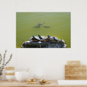 turtlerock poster (Keuken)