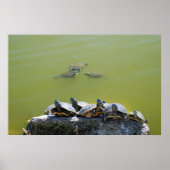 turtlerock poster (Voorkant)