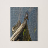 Turtle's Day Off Legpuzzel (Verticaal)