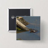 Turtle's Day Off Vierkante Button 5,1 Cm (Voorkant /achterkant)