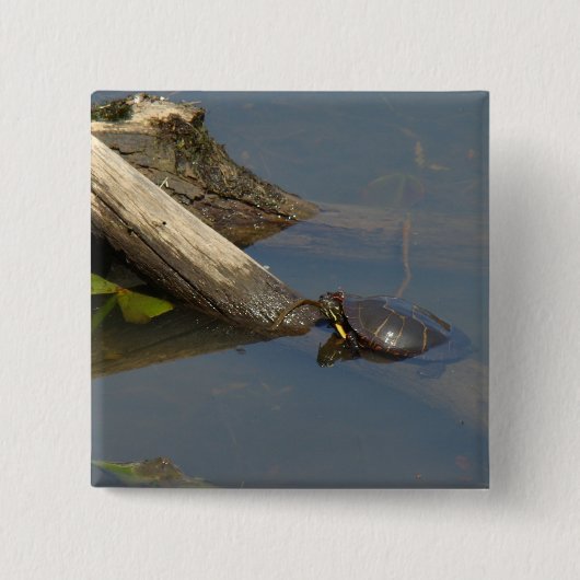 Turtle's Day Off Vierkante Button 5,1 Cm (Voorkant)