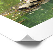 Turtles die zichzelf Poster zuren (Hoek)