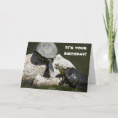 Turtles on Rock Photo Funny Birthday Kaart (Voorkant)
