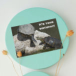 Turtles on Rock Photo Funny Birthday Kaart<br><div class="desc">Stuur iemand een grappige verjaardagskaart voor alles wat een foto-afbeelding van twee vijvers schildpadden bevat die ruimte proberen te delen op een kleine rots samen met een grappige begroeting binnenin. Selecteer uit steen of glanzende stijlkaart.</div>