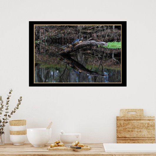 Turtles op de Santa Fe 520 Poster (Keuken)