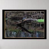 Turtles op de Santa Fe 520 Poster (Voorkant)