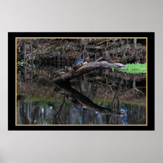 Turtles op de Santa Fe 520 Poster