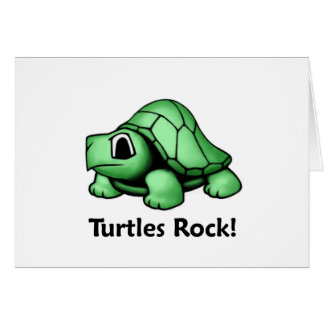 Turtles Rock!