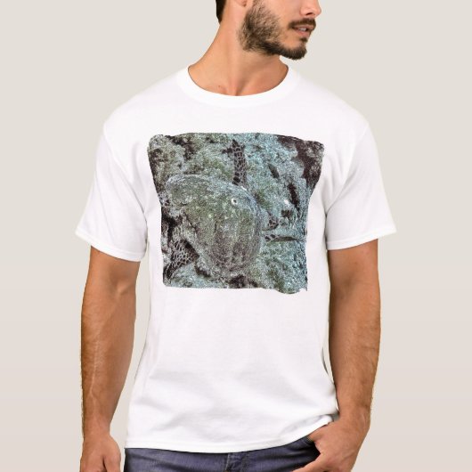Turtle's run t-shirt (Voorkant)