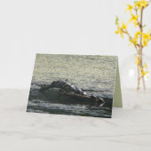 Turtles Turn Kaart (Gele Bloem)