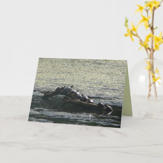 Turtles Turn Kaart (Gele Bloem)