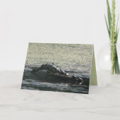 Turtles Turn Kaart (Voorkant)