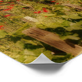 Tuscan Dream Print (Hoek)