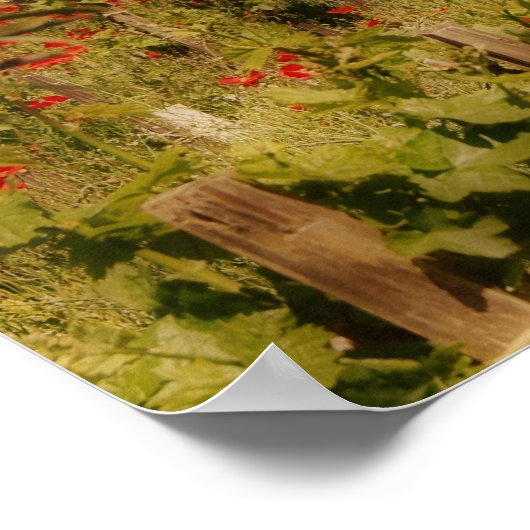 Tuscan Dream Print (Hoek)