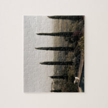 Tuscan landscape hidden behind cypresses (2024)