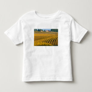 Tuscania-achtige Black Walnut Inn boven de Kinder Shirts