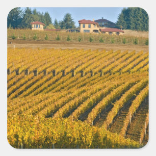 Tuscania-achtige Black Walnut Inn boven de Vierkante Sticker