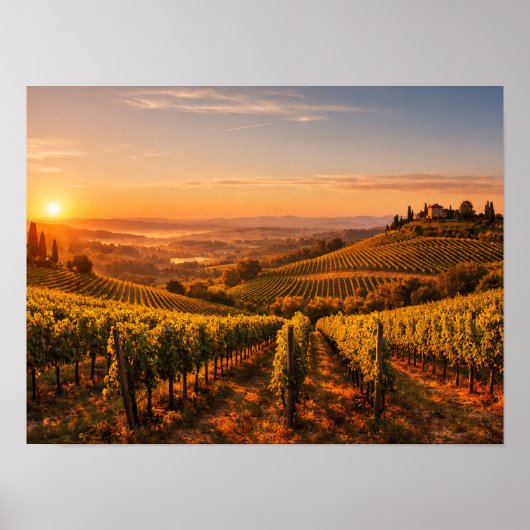 Tuscany Vineyard at Sunset Landscape Poster (Voorkant)