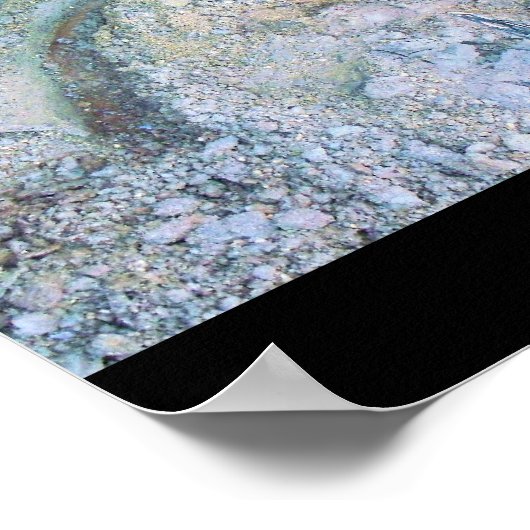 tusk van zoogdieren (2) poster (Hoek)