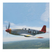 Tuskegee Airmen COIN Kubus (Rechts)