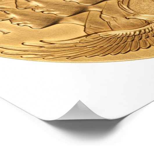 Tuskegee Airmen Gold Medal Poster (Hoek)