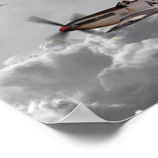 Tuskegee Airmen Poster (Hoek)