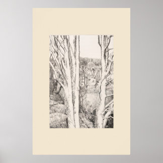 Tussen de bomen Cornwall Eleanor Hughes herdruk Poster