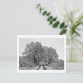 Tussen de eiken (winter) briefkaart (Staand voorkant)