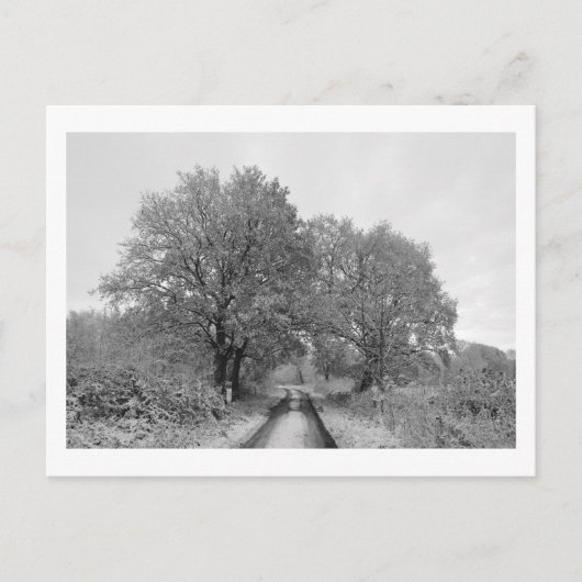 Tussen de eiken (winter) briefkaart (Voorkant)
