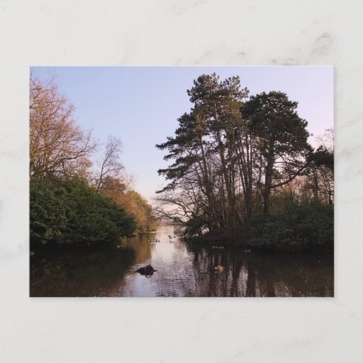 Tussen de eilanden, Roath Park Lake, Cardiff. Briefkaart (Voorkant)