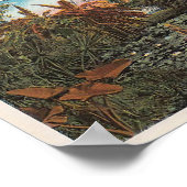 Tussen de Lillies en Palmen van Florida Poster (Hoek)