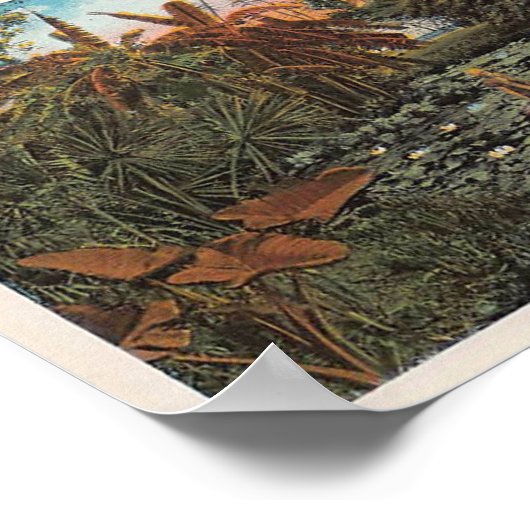 Tussen de Lillies en Palmen van Florida Poster (Hoek)