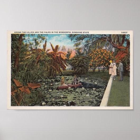 Tussen de Lillies en Palmen van Florida Poster (Voorkant)