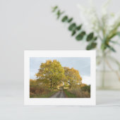 Tussen de Oaks: Rural Cheshire Briefkaart (Staand voorkant)