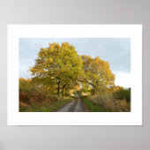 Tussen de Oaks: Rural Cheshire Poster (Voorkant)